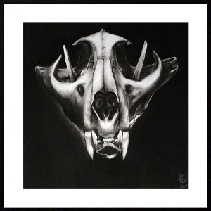 Vanity #6 Cougar Skull