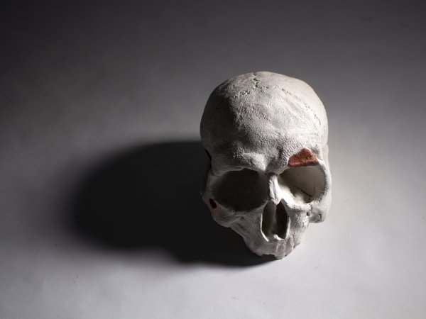 Les hypothèses - l'hominidé ?