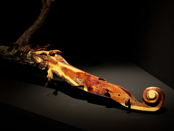 Devenir art - The violon