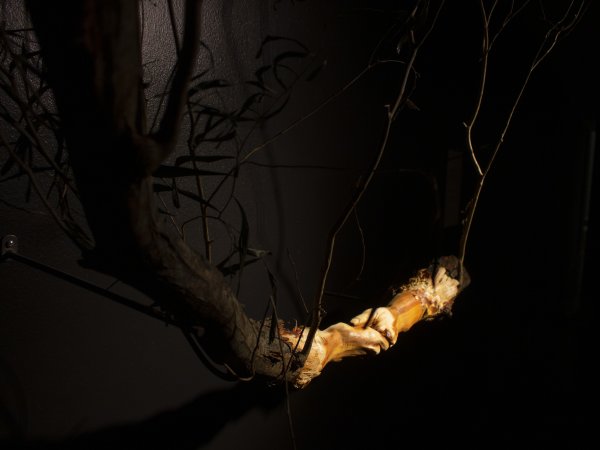 Devenir art - La tourmentée